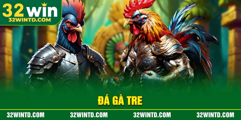 Đá gà tre – Trò chơi truyền thống đậm đà bản sắc văn hóa Việt Nam